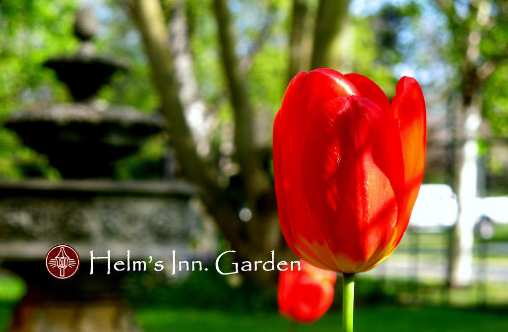 Helm'S Inn Вікторія Екстер'єр фото
